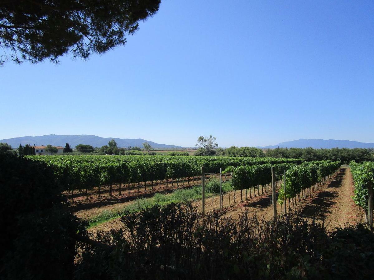 Agriturismo Poggio Campana San Donato  Esterno foto